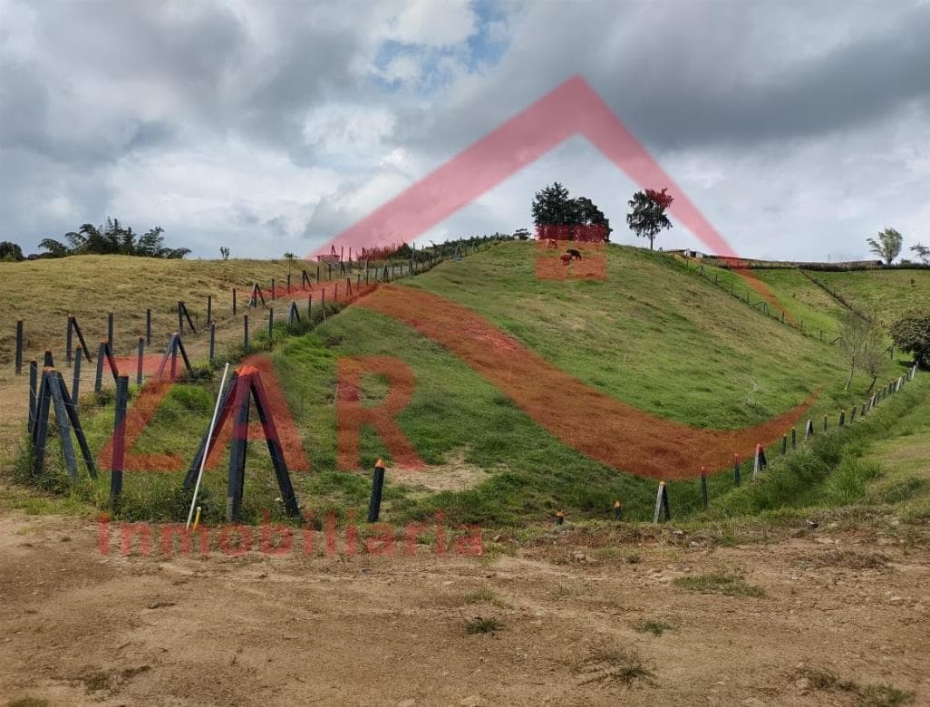 Foto de Lote en venta Vereda Cascajo Arriba - Vereda La Rivera Marinilla